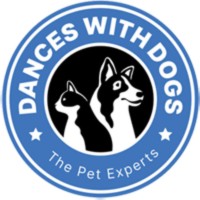 Dog with paws over eyes