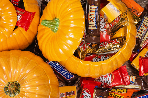 Halloween Safety Tips for Your Pets