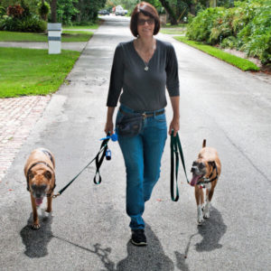 dog walker Palmetto, Kendall, Pinecrest, FL dog walker Palmetto, Kendall, Pinecrest, FL