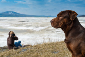 photographer taking a picture of her mixed breed brown dog