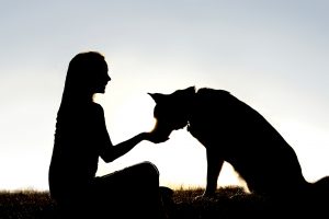 Woman feeding dog