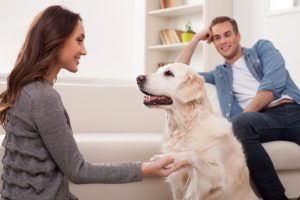 Young woman holding her golden retriever's paw while a seated young man watches. 