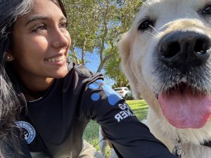 Woman with dark hair looking at yellow Labrador with a smile on her face. She is wearing a black long sleeved shirt with the Dances With Dogs Logo on it. 