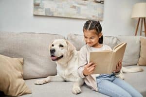 Brunette child, holding a book and looking at her yellow Labrador retriever. The dog is lying on a beige sofa be hind the girl who is sitting on the sofa.
