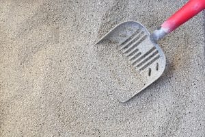 Clay cat litter with a metal litter scoop with a red handle.