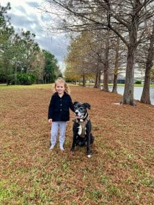 Toddler standing in fall leaves wearing a black coat and blue jeans. A black dog with a white chest wearing a tan harness sits next to her.
