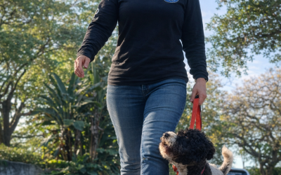 What Ethical Dog Professionals Do